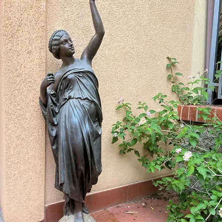 Saracena